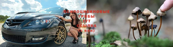 спайс Верея