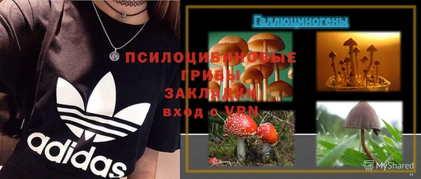 спайс Верея